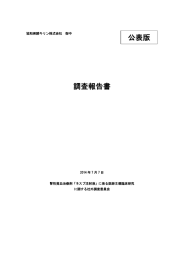 調査報告書 - 協和発酵キリン株式会社