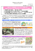 （木）で開業1周年 記念イベント