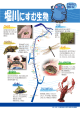 堀川にすむ生物 (PDF形式, 489.54KB)