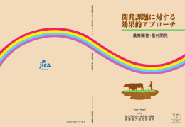 目次、調査研究概要、要約、開発課題体系図（PDF/150KB）