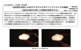 自然物を応用した3Dテクスチャデザインソフトウェアの開発 ー組成の設計