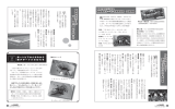 姉妹都市カーマン市教育訪問団員募集かんなみ猫おどり・猫