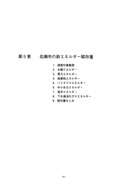 名瀬市の新エネルギー賦存量（PDF：6635KB）