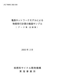 亀裂ネットワークモデルによる 物質移行計算の動画サンプル 核燃料