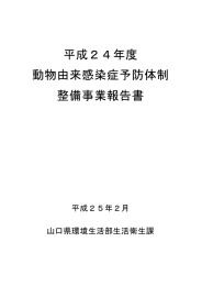 平成24年度報告書 (PDF : 7MB)