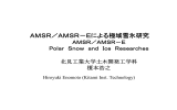 AMSR／AMSR－Eによる極域雪氷研究