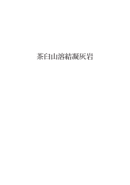 茶臼山溶結凝灰岩
