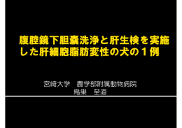 宮崎大学 農学部附属動物病院 鳥巣 至道