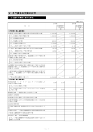 Ⅴ.自己資本の充実の状況｜2016年 ディスクロジャー誌