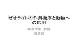 ゼオライトの作用機序と動物へ の応用