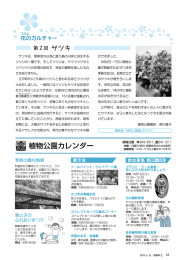 花のカルチャー（PDF形式 899キロバイト）