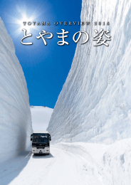 とやまの姿(表面)