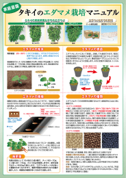 エダマメ栽培マニュアル