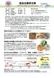 スライド 1 - 京都大学大学院 昆虫生態学研究室