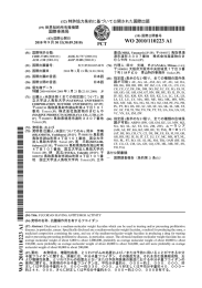 国際公開番号 WO2010/110223