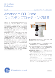 ECL Prime データファイル日本語