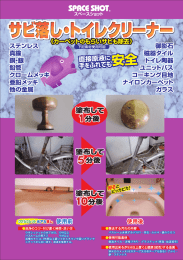 Page 1 Page 2 使用してはいけない素ネオく石灰岩> 一 一 一 一 丙然