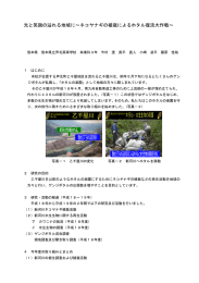 光と笑顔の溢れる地域に（PDF：469KB）