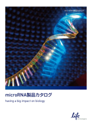 microRNA製品カタログ - Thermo Fisher Scientific