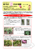 （ちょっとまって！その植物、有毒です！）（PDF・993KB）