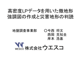 高密度LPデータを用いた微地形 強調図の作成と災害地形の判読