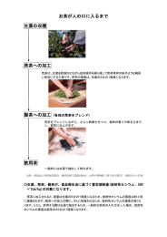 お茶が人の口に入るまで 生葉の収穫 荒茶への加工 飲用茶