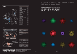 分子科学研究所パンフレット2016