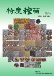 につづくセサミンが多いゴマ新品種「ごまえもん」