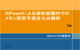 XiFoamによる球形容器内でのメタン空気予混合火炎解析(田村)