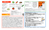 おたより90号,13年9月なか