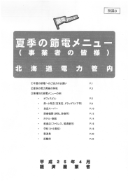 別添3：夏季の節電メニュー