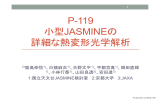 P-119 小型JASMINEの 詳細な熱変形光学解析