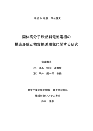 固体高分子形燃料電池電極の 構造形成と物質輸送現象に関する研究