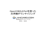 OpenCOBOLとPerlを使った 汎用機ダウンサイジング