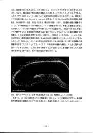 平成12年度 本態性多種化学物質過敏状態の調査研究報告書