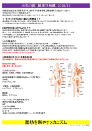 脂肪を燃やすメカニズム