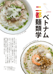 ベトナム 二都麺類学