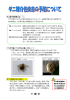 ダニ媒介性疾患の予防について（リーフレット）(PDF文書)