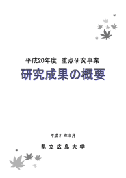 「研究成果の概要」(全111ページ・4.53MB)