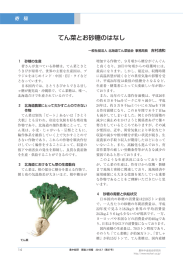 てん菜とお砂糖のはなし