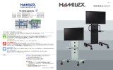 2 - HAMILeX
