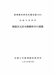 無限次元非可換解析学の展開