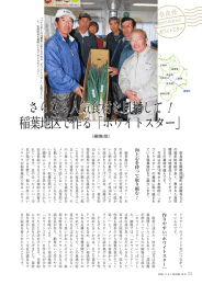 さらなる人気食材を目指して！ 稲葉地区で作る「ホワイトスター」