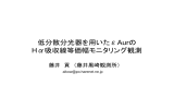 低分散分光器を用いたεAurの Hα吸収線等価幅モニタリング観測