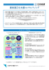 要員適正化支援コンサルティング（PDF:146.5KB）