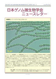 ダウンロード