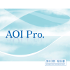 報告書 - AOI Pro. Inc.