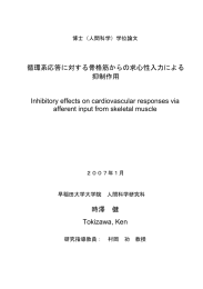 循環系応答に対する骨格筋からの求心性入力による 抑制作用 Inhibitory