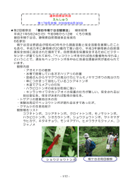 第178号：2009-06-30発行（PDFファイル）