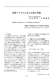 清澄プロセスにおける泡の挙動